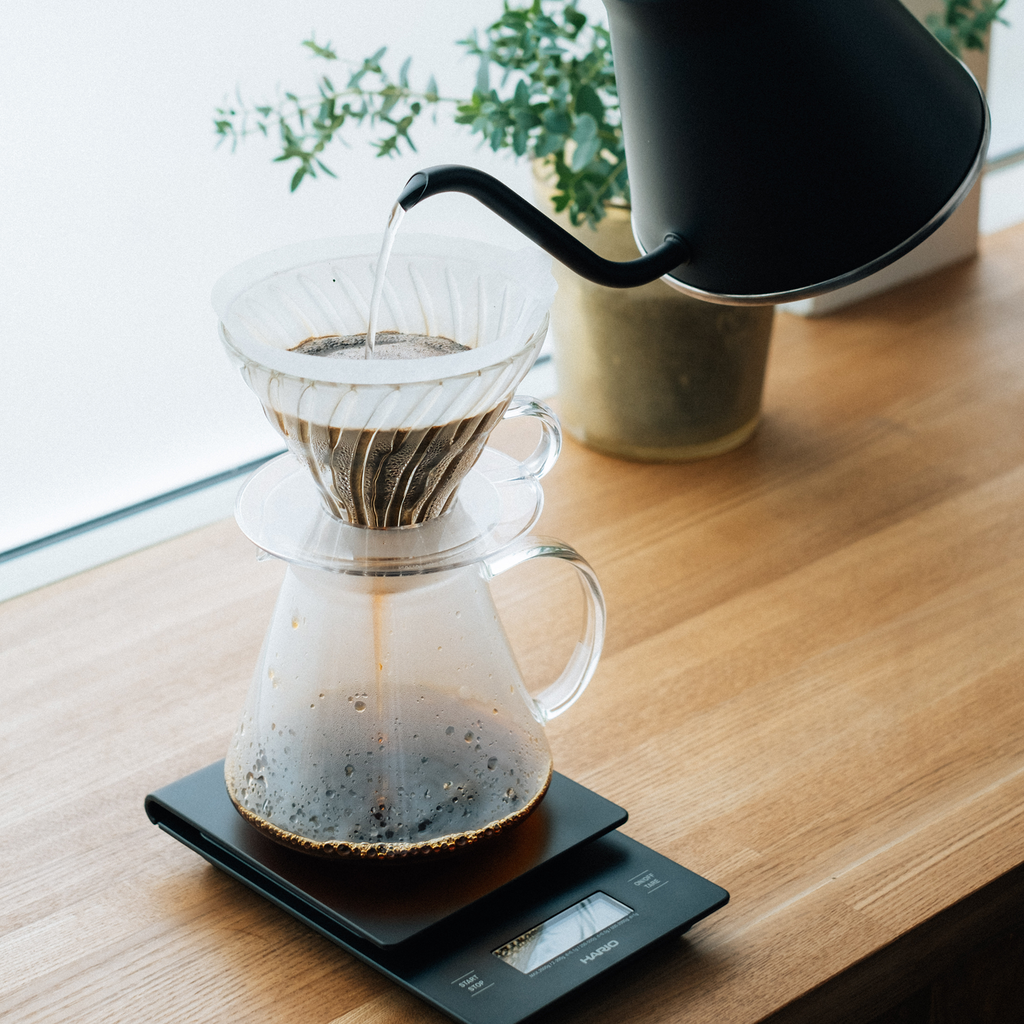 V60 glass brewing kit